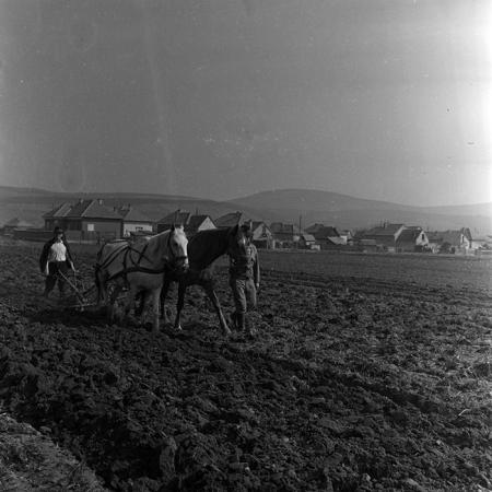 minerva_1970_Agrare_c1_c2r2_015