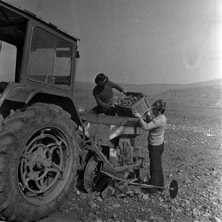 minerva_1970_Agrare_c1_c2r2_021