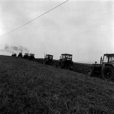 minerva_1970_Agrare_c1_c2r4_031