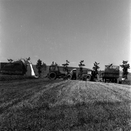 minerva_1970_Agrare_c1_c3r2_009