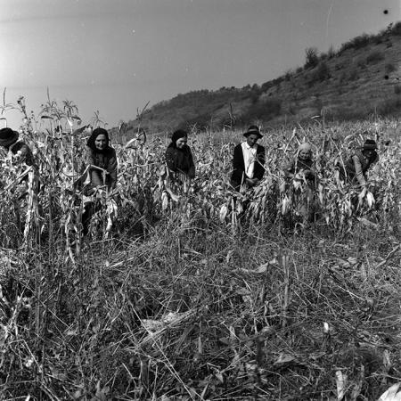 minerva_1970_Agrare_c1_c3r5_005