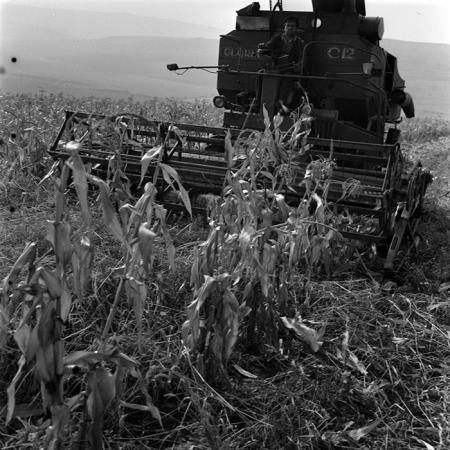 minerva_1970_Agrare_c1_c3r5_009