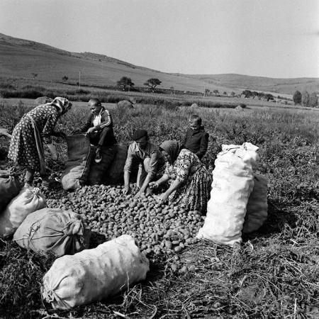 minerva_1970_Agrare_c1_c3r5_015