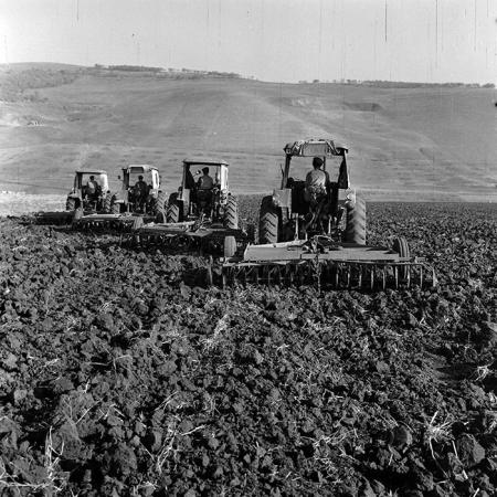 minerva_1970_Agrare_c1_c4r1_006