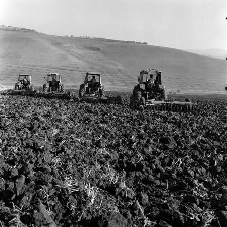 minerva_1970_Agrare_c1_c4r1_009