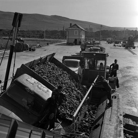 minerva_1970_Agrare_c1_c6r2_007