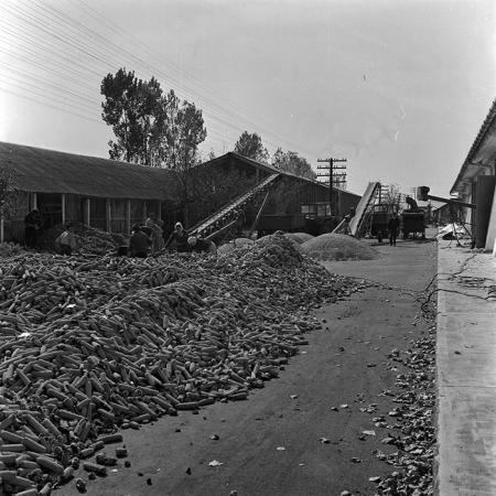 minerva_1970_Agrare_c1_c6r3_005