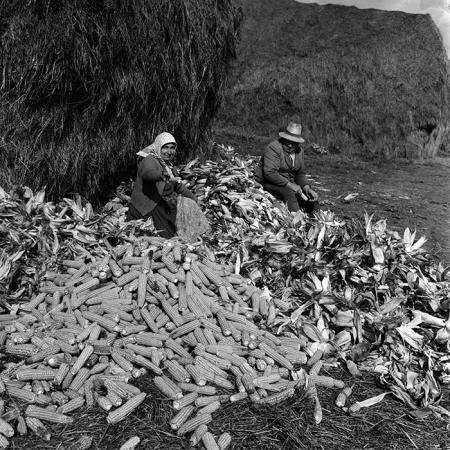 minerva_1970_Agrare_c1_c6r4_008