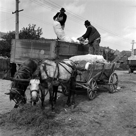 minerva_1970_Agrare_c1_c6r4_013