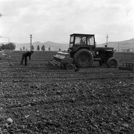 minerva_1970_Agrare_c1_c6r4_020