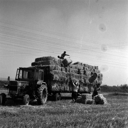 minerva_1970_Agrare_c1_c7r3_004