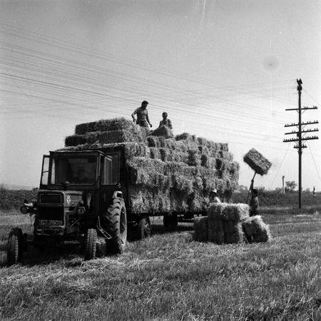 minerva_1970_Agrare_c1_c7r3_005