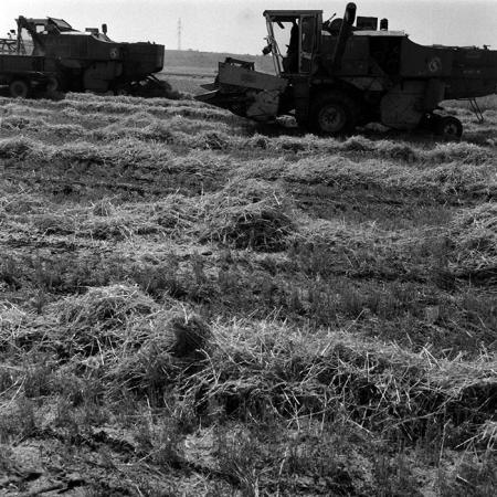 minerva_1970_Agrare_c1_c7r3_008