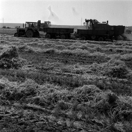 minerva_1970_Agrare_c1_c7r3_010