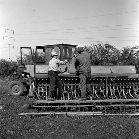 minerva_1970_Agrare_c1_c7r4_009