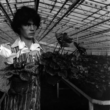 minerva_1970_Agrare_c1_c7r4_031