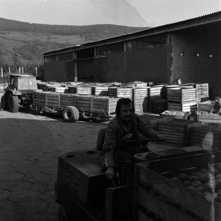 minerva_1970_Agrare_c1_c8r1_004