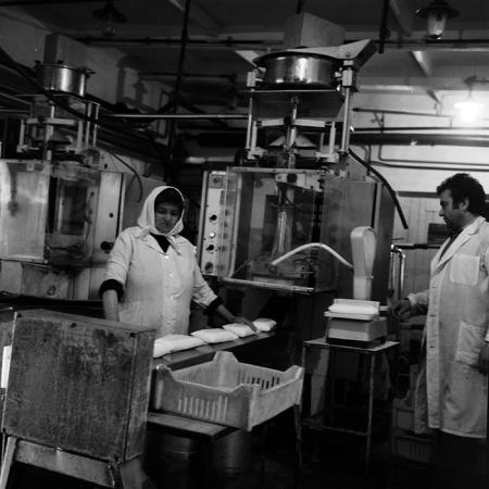 minerva_1970_Agrare_c1_c8r4_008