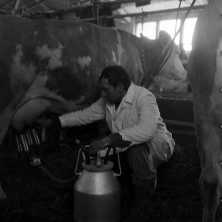 minerva_1970_Agrare_c1_c9r1_002