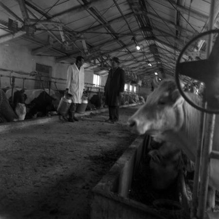 minerva_1970_Agrare_c1_c9r1_006