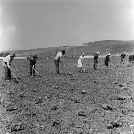 minerva_1971_c3_c2r2_006