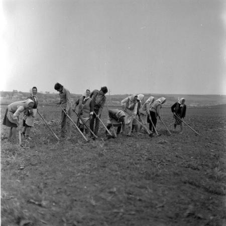 minerva_1971_c3_c3r1_008