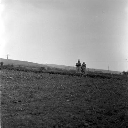 minerva_1971_c3_c3r1_011