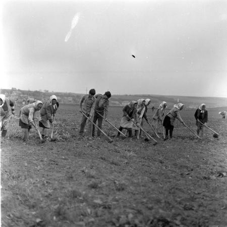 minerva_1971_c3_c3r1_012