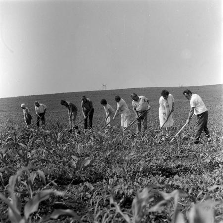 minerva_1971_c3_c3r1_019