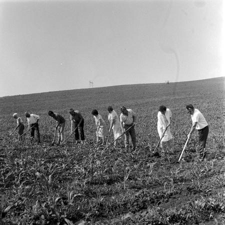 minerva_1971_c3_c3r1_020