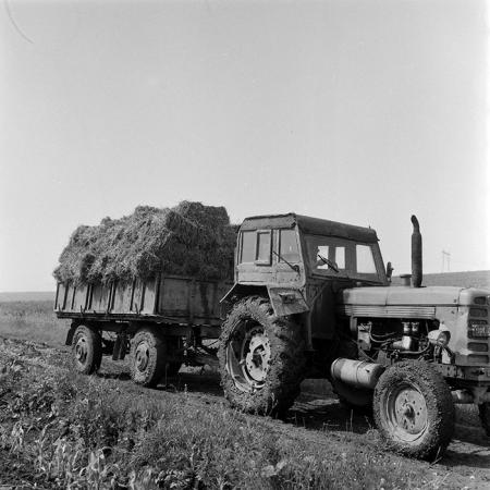 minerva_1971_c3_c3r1_021