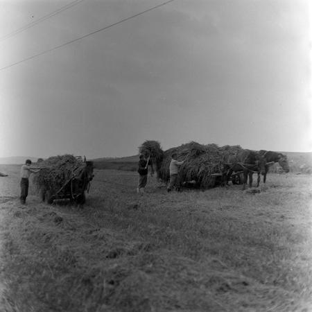 minerva_1971_c3_c4r2_003