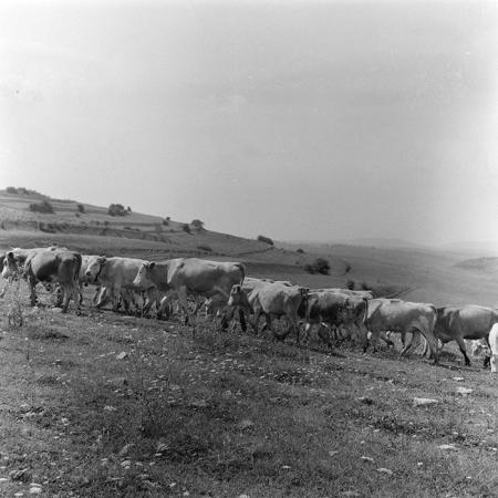 minerva_1971_c3_c7r3_001