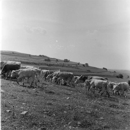 minerva_1971_c3_c7r3_002