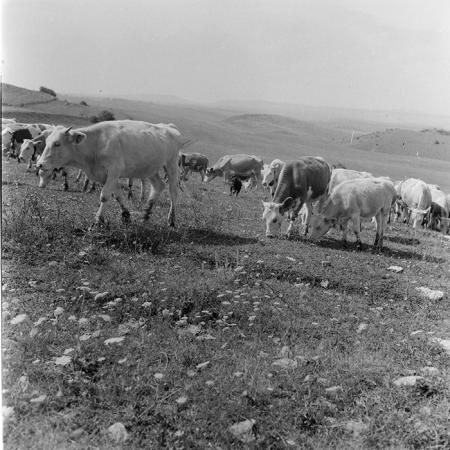 minerva_1971_c3_c7r3_003