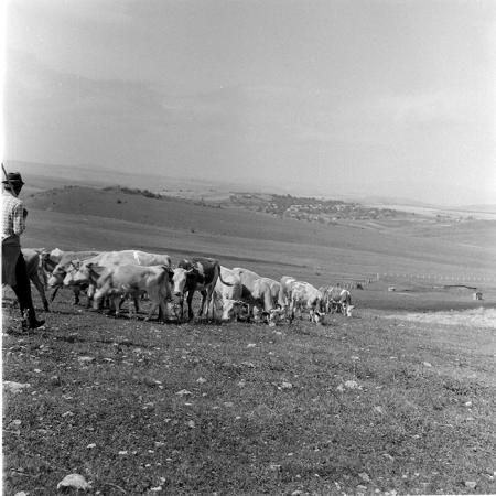 minerva_1971_c3_c7r3_004