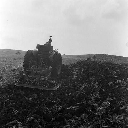 minerva_1972_c4_c2r2_008