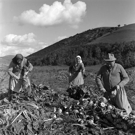 minerva_1972_c4_c3r5_017