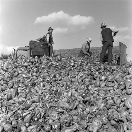 minerva_1972_c4_c6r1_013