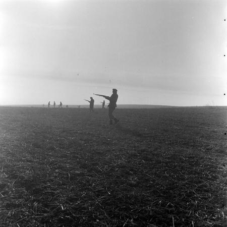 minerva_1972_c4_c6r4_019