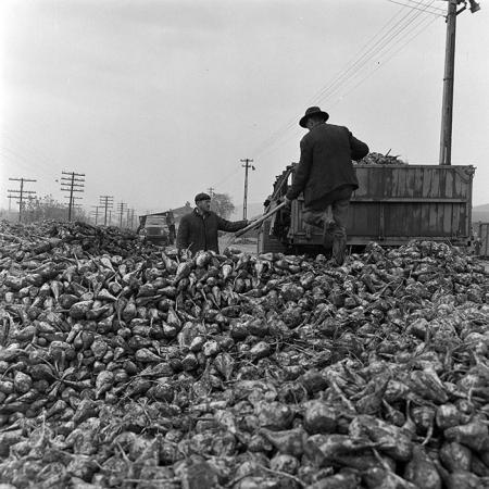 minerva_1972_c4_c7r3_011