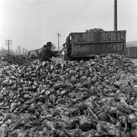 minerva_1972_c4_c7r3_012