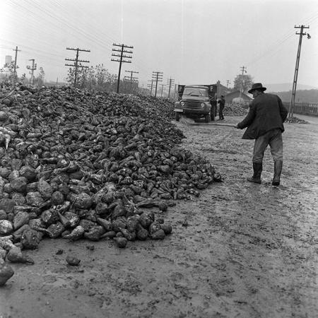 minerva_1972_c4_c7r3_013