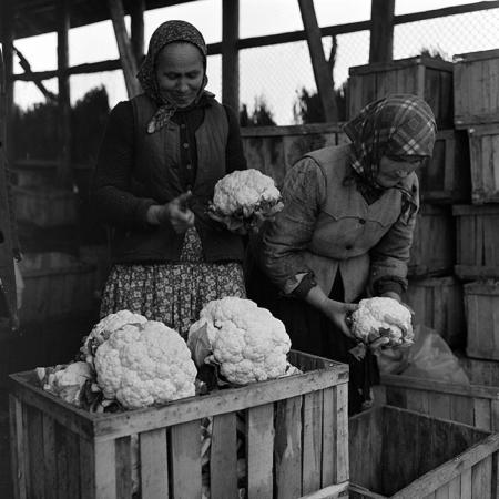 minerva_1972_c4_c7r3_020