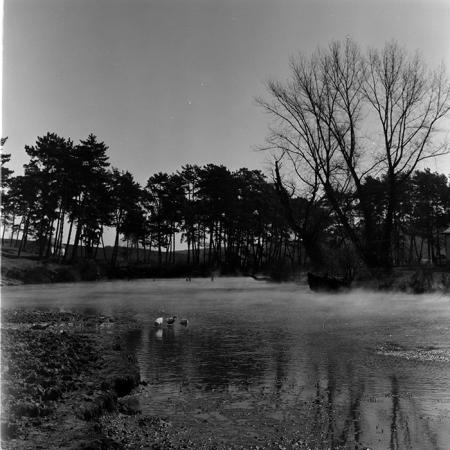 minerva_1972-1976_c1_c06_135