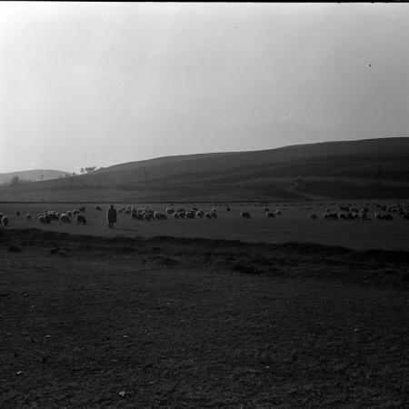 minerva_1972-1976_c1_c13_032