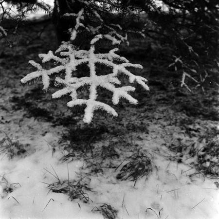 minerva_1972-1976_c1_c13_063