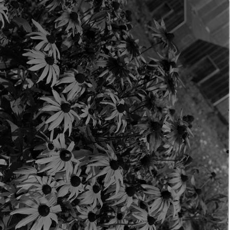 minerva_1972-1976_c1_c14_120