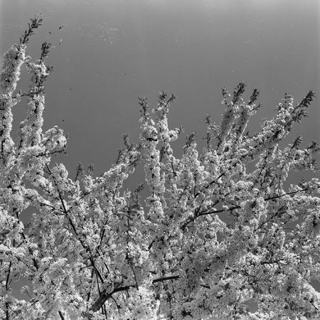 minerva_1973_c1_c5r2_023