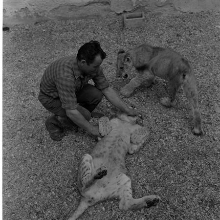 minerva_1973_c1_c8r3_013